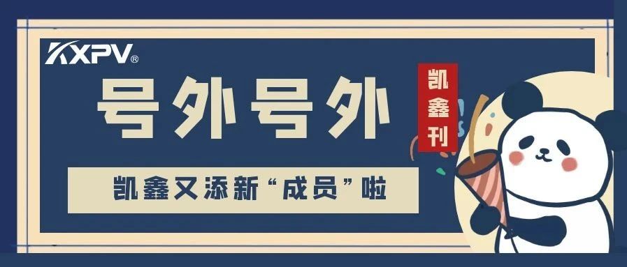 【凱鑫刊-第三期】凱鑫步入發(fā)展新征程，開啟發(fā)展新篇章